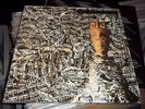 Siouxsie And The Banshees Juju LP