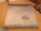 GENESIS WIND AND WUTHERING CHARISMA RECORDS UK VINYL LP+LYRIC INNER D2