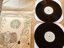 DEVENDRA BANHART Rejoicing In The Hands & Nino Rojo - young god - 2LP