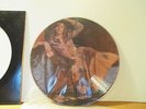 David Bowie The Man Who Sold The World Picture Disc Vinyl LP Rare Near Mint