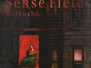 Sense Field Building NEAR MINT Revelation Records Vinyl LP