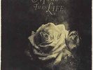 More Than Life-Whats Left Of Me VINYL NEU