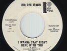 Northern Soul 45 - Big Dee Irwin - I Wanna Stay/You Satisfy - Rotate - VG+ mp3