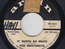 Northern Soul 45 - Montereys - It Hurts So Much - Arwin - mp3 - rare