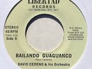 DAVID CEDENO Bailando Guaguanco M- Latin Salsa 45 on Libertad *HEAR*
