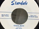 Rare Rockabilly - Dale Davis And His Tomcats - Gotta Rock - Stardale 45