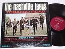 *EX* The Nashville Teens 