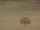 Genesis  Wind and Wuthering  UK new  unplayed