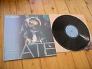 THE DELGADOS HATE  LP VINYL