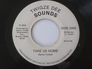 DANNY TUCKER Take Us Home Twigze Dee Sounds Roots Reggae 45 HEAR