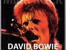 DAVID BOWIE RECORD STORE DAY MICK ROCK STARMAN SUFFRAGETTE CITY RED VINYL BOOK
