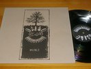 LP FALL OF EFRAFA OWSLA VARIOUS 2006 ISSUE PUNK POST PUNK HARDCORE