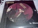 nirvana in bloom picture disc vinyl 12 inch single