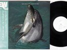 JOE LEE WILSON HEY LOOK AT YOU EAST WIND EW-8034 Japanese Pressing PROMO OBI LP