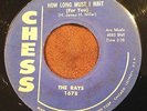 THE RAYS | How Long Must I Wait | *HEAR* | R&B Soul Doo Wop 45 | CHESS 1678