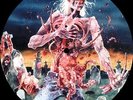 CANNIBAL CORPSE EATEN BACK TO LIFE LP VINYL 33RPM PICTURE DISC NEW