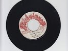 TECHNIQUES/I'LL BE WAITING  -  ALTON ELLIS  (70  REGGAE  FUNKY 7