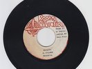 ROOTS VIBRATION/REALITY  -  PRODICAL  (75  REGGAE ROOTS 7