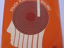 MALIBU Enjoy Yourself RARE modern soul FUNK 45 JBL 1975 Silvery Moon Studios EX