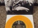 Dead Weather Buzzkill(er) 7