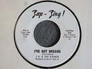 DEEP SOUL 45 J.B. & the V-Kings I've Got Dreams Zap Zing 101 Promo M- Hear MP3