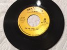 Gil Bernal Can You Love a Poor Boy promo classic beat ballad RCA  mp3