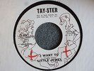 SOUL R&B 45 Little Jewel I Want To Tay-Ster 6011 Promo EX Hear MP3 Nice One