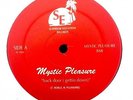 MYSTIC PLEASURE Back Door (Getting Down) 12