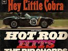 THE RIP CHORDS - Hey Little Cobra - 1964 Columbia Records Stereo LP