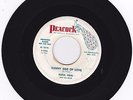 Rare Texas R&B WLP 45 Raful Neal & His Band 