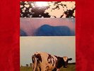 Pink Floyd 3 Orig.Vinyl-LPs