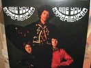 LP VINYL | JIMI HENDRIX | Are You Experienced UK | MONO 200G LP | 2013 REISSUE