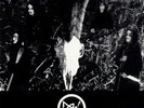 Vlad Tepes / Belketre - Split ++ 2-LP ++ NEU 