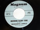 Manzanita Jungle: Morning Glory Side / Colorado Sun  [Unplayed Copy]