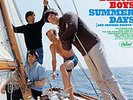 THE BEACH BOYS  - SUMMER DAYS (AND SUMMER NIGHTS) - MONO VINYL LP - SEALED