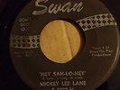 Mickey Lee Lane 