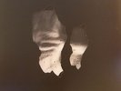 CHVE - Rasa - Vinyl (LP in die-cut sleeve)