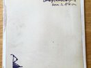 Babyshambles - Down The Albion 12