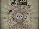 ENTER SHIKARI TAKE TO THE SKIES LP VINYL NEW 33RPM