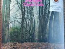 Twink – Think Pink vinyl LP + CD on Sunbeam SBRLP5095