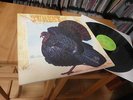 WILD TURKEY LP MINT 1972 JETHRO TULL prog,psych,very rare
