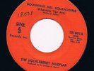 HUCKLEBERRY MUDFLAP goodnight mrs. kollendoffer / blue HEAR VG+ 60 GARAGE psych