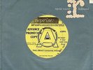 THE ELECTRIC PRUNES**THE GREAT BANANA HOAX**DEMO**GARAGE**LISTEN TO IT
