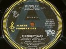 TED MULRY GANG (TMG):Steppin' Out.RARE Aussie/OZ A-Label PROMO 7