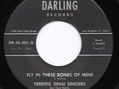 Gospel Doo Wop R&B 45 TERRIFIC SINAI SINGERS Fly In These Bones Of Mine RARE mp3