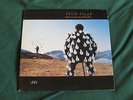 Pink Floyd Delicate Sound of Thunder LP