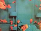 INSPIRAL CARPETS Revenge Of The Goldfish 1992  UK VINYL LP EXCELLENT CONDITION
