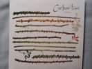 Cocteau Twins Twinlights  Ltd double 7