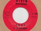 NORTHERN SOUL / POPCORN -- L.B.WILSON -- DONT / POCO LOCO