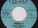 R&B Inst. 45 - James Spruill - Jumping In/Huckle Buck - Cee-Jay - VG+ mp3
